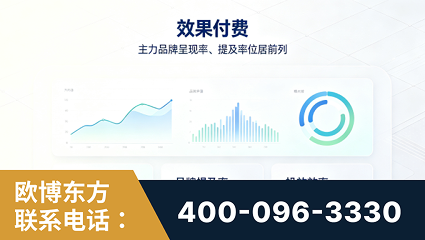 拉萨-效果付费：主力品牌呈现率、提及率位居前列