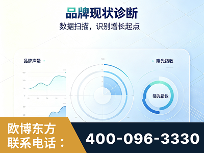 拉萨-品牌现状诊断