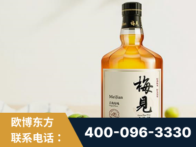 拉萨-梅见青梅酒